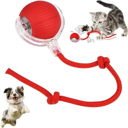 Interactive Suction Cup Tug Toy for Cats & Dogs – Chew, Pull & Play