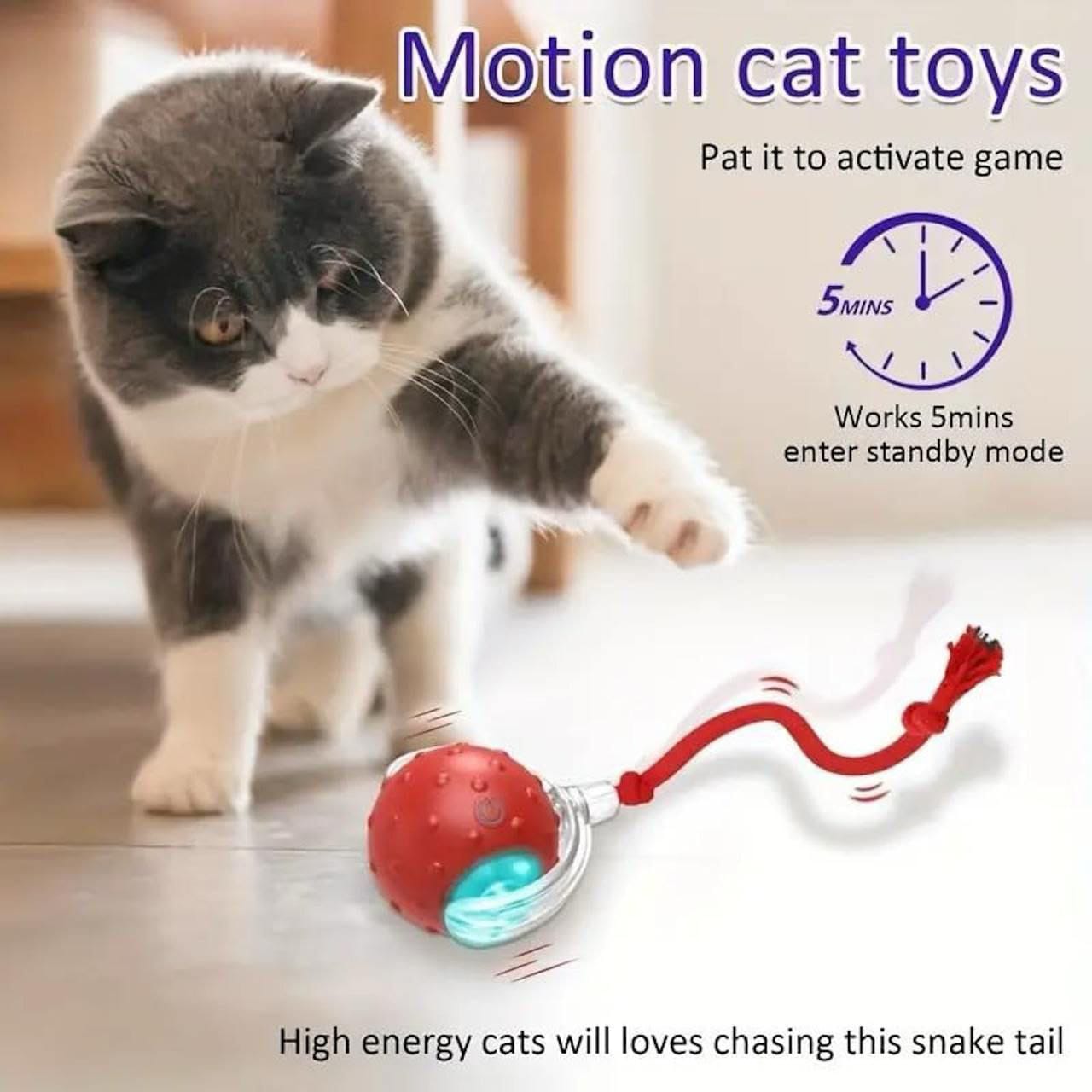 Interactive Suction Cup Tug Toy for Cats & Dogs – Chew, Pull & Play