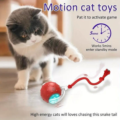 Interactive Suction Cup Tug Toy for Cats & Dogs – Chew, Pull & Play