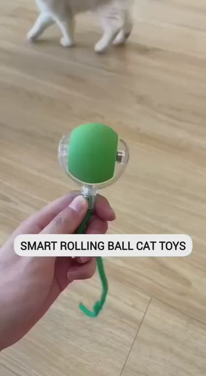 Interactive Suction Cup Tug Toy for Cats & Dogs – Chew, Pull & Play